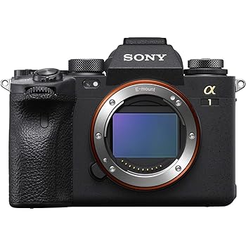 š̤ۡѡSONY(ˡ) ե륵ߥ顼쥹 ILCE-1 black