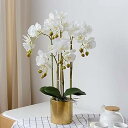 【中古】造花、鉢植えの造花、人工胡蝶蘭アレンジメント、花瓶付きフェイク蘭盆栽、ウェディングパーティーホームセンターピース装飾(ホワイト)