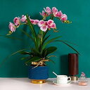 【中古】造花、鉢植えの造花胡蝶蘭、陶器の花瓶付き造花、ウェディングパーティーのダイニングテーブルセンターピースの装飾、高さ22.8インチ(B)