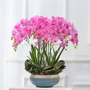 【中古】【未使用】ポット付き造花 蘭 人工胡蝶蘭の鉢植えの花 フェイクオーキッドセット ホームテーブ