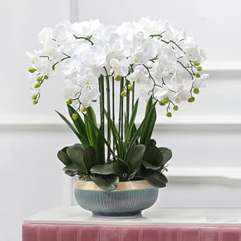 【中古】【未使用】ポット付き造花 蘭 人工胡蝶蘭の鉢植えの花 フェイクオーキッドセット ホームテーブルセンターピース キッチン ダイニングルーム ウェディングオ 【中古】【未使用】ポット付き造花 蘭 人工胡蝶蘭の鉢植えの花 フェイクオーキッドセット ホームテーブルセンターピース キッチン ダイニングルーム ウェディングオ