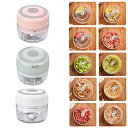 【中古】【未使用】みじん切り器 電気 ミニチョッパー 耐久性のある電気 100ml 容量 にんにくチョッパー 素早くチョッピング ポータブル グラインダー キッ...