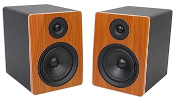 šRockville 5.25 2 250W ƥ/ŸUSB˥ԡڥ (APM5C)