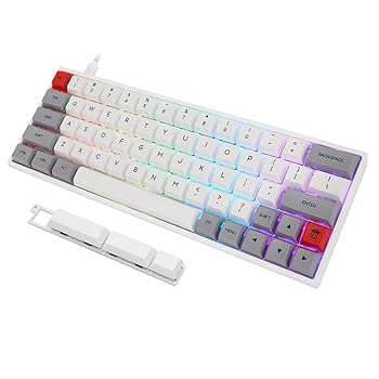 【中古】【未使用】Skyloong GK64 GK64xs Kailh Box サイレントピンクブラウンダイサブキーキャップ RGB ホットスワップ プログラム可能な有線Bluetoothキーボード