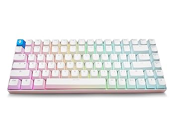 【中古】Glacier Skyloong HE75 有線着脱式USB-C、ホットスワップ可能、ボリュームノブ、サイドプリントPBTキーキャップ、ホールエフェクトスイッチ、磁 【中古】Glacier Skyloong HE75 有線着脱式USB-C、ホットスワップ可能、ボリュームノブ、サイドプリントPBTキーキャップ、ホールエフェクトスイッチ、磁