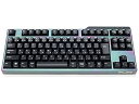 【中古】FILCO Majestouch Convertible 3 漆彩虹モデル 茶軸 テンキーレス 日本語配列 91キー Bluetooth無線&USB有線両対応 DIPスイッチ(2)