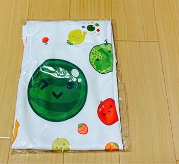 【中古】スイカゲーム T Lサイズ 【中古】スイカゲーム T Lサイズ