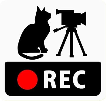 【中古】[CraftBunny] ドライブレコーダー搭載ステッカー 「猫とビデオカメラ」 (再剥離ステッカー) 車..