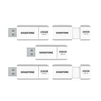 【中古】【未使用】【GIGASTONE】USBメモリ 256GB 5個セット Z60 USB 3.2 Gen 1 フラッシュドライブ 120/60 MB/s超高速ペンドライブ キャップレス伸縮式デザイン US