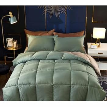 【中古】ダブル羽毛布団ウォッシャブルデュベウォッシャブルデュベシンサレートデュベシングルデュベ軽量ウォーム(グリーン220 * 2402.5kg)