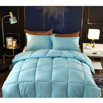【中古】ダブル羽毛布団ウォッシャブルデュベウォッシャブルデュベシンサレートデュベシングルデュベ軽量ウォーム(ライトブルー200 * 2304.5kg)