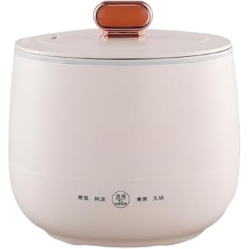 【中古】【未使用】Diggly 多機能電気調理器、ミニ一人用、お粥/シチュー/炒め物/インスタントラーメン..