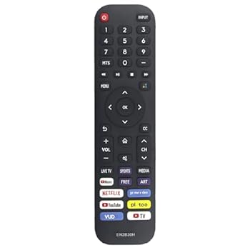【中古】【未使用】EN2B30H 交換用リモコン Hisense Smart TV 65H6G 65H77G 65V6G 65A60G 65A60H 65A60GMV 65A6010GMV 65A6030GMV 65A6050GMV 65A6070GMV 65A6090GM