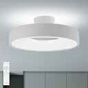 【中古】【未使用】【2025モデル登場】シーリングライト LED ライト 8畳 30W 常夜灯モード 天井 ledライト リモコン付 12段階 調光 調色 ledシーリングライト 消灯