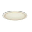 【中古】【未使用】大光電機 DAIKO LEDダウンライト 高気密SB形 埋込穴φ100 LED内蔵 LED 9.1W 温白色 3500K 白熱灯100W相当 高演色Ra93 温度保護機能付 電気工事必