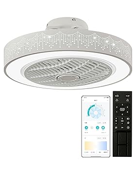 【中古】【未使用】XINGMU LED シーリングファンライト 屋内用天井扇風機 直径50CM 最大3900LM 調光調色 風量 6階段調整 360度回転 静音 軽量 薄型 空気循環 照明器