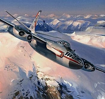 楽天市場】U．S．エアフォースの昔の爆撃機のノーズアートパネルの通販