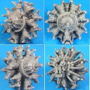 【中古】【未使用】ベクター 48-028 1/48 P&W R-1535