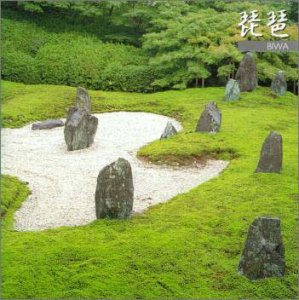 【中古】【未使用】琵琶