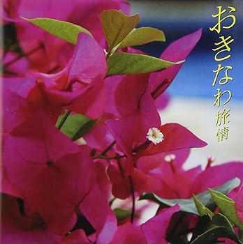 【中古】おきなわ旅情~花~