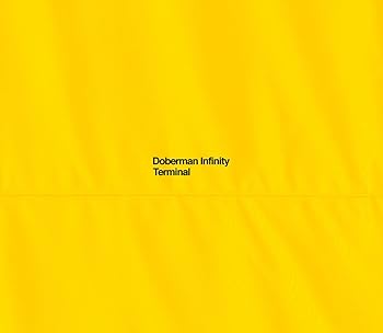 【中古】【未使用】TERMINAL(初回限定盤)(CD 2DVD)
