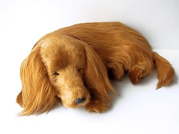 【中古】ニニアンドキノ パーフェクトペット (大サイズ) ダックス ロング (レッド) ぬいぐるみ 犬 いぬ イヌ リアル 本物 そっくり ダックスフンド ダックスフント 雑貨 動物 アニマル 癒し 動く プレゼント ギフト お祝い かわいい 犬のぬいぐるみ【メーカー名】【メーカー型番】【ブランド名】ニニアンドキノ 動物, ぬいぐるみ, おもちゃ ストア, おもちゃ_2column, 電池:要 【商品説明】ニニアンドキノ パーフェクトペット (大サイズ) ダックス ロング (レッド) ぬいぐるみ 犬 いぬ イヌ リアル 本物 そっくり ダックスフンド ダックスフント 雑貨 動物 アニマル 癒し 動く プレゼント ギフト お祝い かわいい 犬のぬいぐるみ当店では初期不良に限り、商品到着から7日間は返品を 受付けております。お問い合わせ・メールにて不具合詳細をご連絡ください。他モールとの併売品の為、完売の際はキャンセルご連絡させて頂きます。中古品の商品タイトルに「限定」「初回」「保証」「DLコード」などの表記がありましても、特典・付属品・帯・保証等は付いておりません。電子辞書、コンパクトオーディオプレーヤー等のイヤホンは写真にありましても衛生上、基本お付けしておりません。※未使用品は除く品名に【import】【輸入】【北米】【海外】等の国内商品でないと把握できる表記商品について国内のDVDプレイヤー、ゲーム機で稼働しない場合がございます。予めご了承の上、購入ください。掲載と付属品が異なる場合は確認のご連絡をさせて頂きます。ご注文からお届けまで1、ご注文⇒ご注文は24時間受け付けております。2、注文確認⇒ご注文後、当店から注文確認メールを送信します。3、お届けまで3〜10営業日程度とお考えください。4、入金確認⇒前払い決済をご選択の場合、ご入金確認後、配送手配を致します。5、出荷⇒配送準備が整い次第、出荷致します。配送業者、追跡番号等の詳細をメール送信致します。6、到着⇒出荷後、1〜3日後に商品が到着します。　※離島、北海道、九州、沖縄は遅れる場合がございます。予めご了承下さい。お電話でのお問合せは少人数で運営の為受け付けておりませんので、お問い合わせ・メールにてお願い致します。営業時間　月〜金　11:00〜17:00★お客様都合によるご注文後のキャンセル・返品はお受けしておりませんのでご了承ください。0