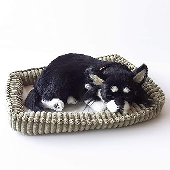 【中古】ニニアンドキノ パーフェクトペット (小サイズ) チワワ ロング (ブラックタン) ぬいぐるみ 犬 いぬ イヌ リアル 本物 そっくり 雑貨 動物 アニマ