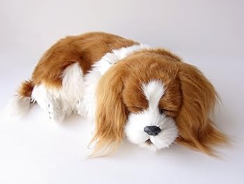 Other - 【中古】ニニアンドキノ パーフェクトペット (小サイズ) キャバリア ぬいぐるみ 犬 いぬ イヌ リアル 本物 そっくり 雑貨 動物 アニマル 癒し 動く プレ