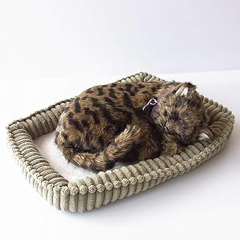 楽天市場】パーフェクトペット 猫の通販