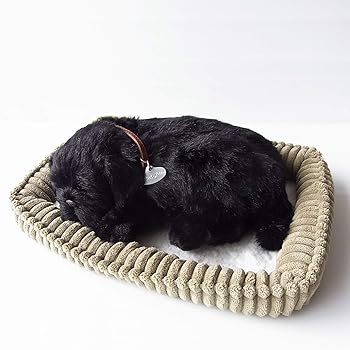 【中古】ニニアンドキノ パーフェクトペット (小サイズ) パグ (黒) ぬいぐるみ 犬 いぬ イヌ リアル 本物 そっくり 雑貨 動物 アニマル 癒し 動く プレゼ