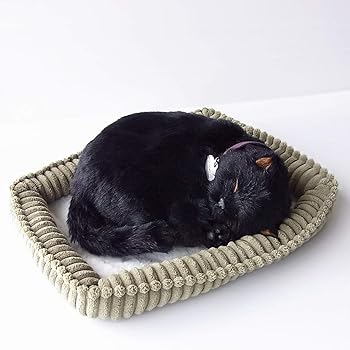 【中古】ニニアンドキノ パーフェクトペット (小サイズ) 黒猫 ぬいぐるみ 猫 ねこ ネコ リアル 本物 そっくり 雑貨 動物 アニマル 癒し 動く プレゼント