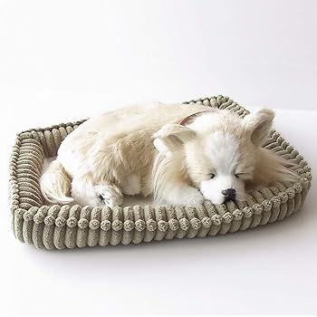 【中古】【未使用】ニニアンドキノ パーフェクトペット (小サイズ) チワワ ロング (クリーム) ぬいぐるみ 犬 いぬ イヌ リアル 本物 そっくり 雑貨 動物 アニマル