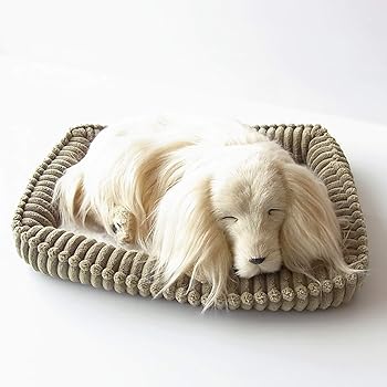 【中古】ニニアンドキノ パーフェクトペット (小サイズ) ダックス ロング (イエロー クリーム ゴールド) ぬいぐるみ 犬 いぬ イヌ リアル 本物 そっくり