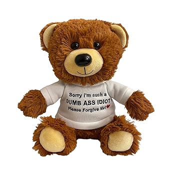 【中古】【未使用】Sorry I'm Such an Idiot、Please Forgive Me? - 10インチのテディベア&ギフトバッグ - ガールフレンド、ボーイフレンド、親友への面白いかわい