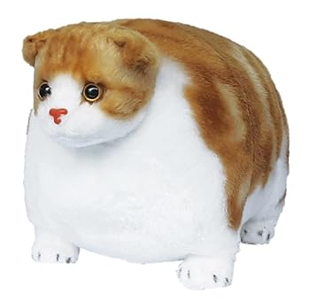 【中古】【未使用】リード ふとっちぃZoo にゃんこ ぬいぐるみ スコティッシュフォールド