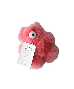 【中古】【未使用】AS KNOW AS plus （�