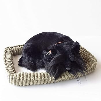 【中古】【未使用】ニニアンドキノ パーフェクトペット (小サイズ) スコティッシュテリア ぬいぐるみ 犬 いぬ イヌ リアル 本物 そっくり 雑貨 動物 アニマル 癒し 動く プレゼント ギフト お祝い かわいい 犬のぬいぐるみ【メーカー名】【メーカー型番】【ブランド名】ニニアンドキノ 動物, ぬいぐるみ, 2189188051 Plush, 【セール】 ペット用品, Pet Products - AmazonGlobal free shipping, 【40%OFF〜】 ペット用品 - セール, ペット用品, 【60%OFF〜】 ペット用品 - セール, 【70%OFF〜】 ペット用品 - セール, 【50%OFF〜】 ペット用品 - セール, 【20%OFF〜】 ペット用品 - バーゲン 【商品説明】ニニアンドキノ パーフェクトペット (小サイズ) スコティッシュテリア ぬいぐるみ 犬 いぬ イヌ リアル 本物 そっくり 雑貨 動物 アニマル 癒し 動く プレゼント ギフト お祝い かわいい 犬のぬいぐるみ当店では初期不良に限り、商品到着から7日間は返品を 受付けております。お問い合わせ・メールにて不具合詳細をご連絡ください。他モールとの併売品の為、完売の際はキャンセルご連絡させて頂きます。中古品の商品タイトルに「限定」「初回」「保証」「DLコード」などの表記がありましても、特典・付属品・帯・保証等は付いておりません。電子辞書、コンパクトオーディオプレーヤー等のイヤホンは写真にありましても衛生上、基本お付けしておりません。※未使用品は除く品名に【import】【輸入】【北米】【海外】等の国内商品でないと把握できる表記商品について国内のDVDプレイヤー、ゲーム機で稼働しない場合がございます。予めご了承の上、購入ください。掲載と付属品が異なる場合は確認のご連絡をさせて頂きます。ご注文からお届けまで1、ご注文⇒ご注文は24時間受け付けております。2、注文確認⇒ご注文後、当店から注文確認メールを送信します。3、お届けまで3〜10営業日程度とお考えください。4、入金確認⇒前払い決済をご選択の場合、ご入金確認後、配送手配を致します。5、出荷⇒配送準備が整い次第、出荷致します。配送業者、追跡番号等の詳細をメール送信致します。6、到着⇒出荷後、1〜3日後に商品が到着します。　※離島、北海道、九州、沖縄は遅れる場合がございます。予めご了承下さい。お電話でのお問合せは少人数で運営の為受け付けておりませんので、お問い合わせ・メールにてお願い致します。営業時間　月〜金　11:00〜17:00★お客様都合によるご注文後のキャンセル・返品はお受けしておりませんのでご了承ください。0