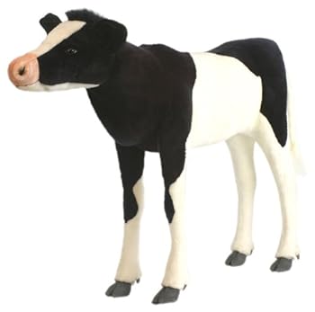 ����šۡ�̤���ѡۥե꡼�����󥳥��� No.5708