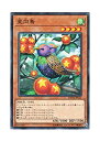 【中古】 遊戯王 日本語版 DANE-JP024 Star Staring Starling 星向鳥 (ノーマル)