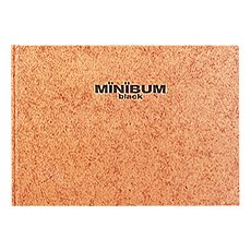 【中古】 ナカバヤシ ファイル ミニバム ブラックA5 ナチュラル アE-MB-112-S