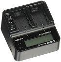 【中古】 ソニー ACアダプター チャージャー AC-VQV10 C1