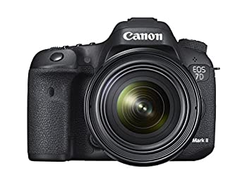 楽天市場】7d mark2 レンズキットの通販 楽天市場】7d mark2 レンズキットの通販