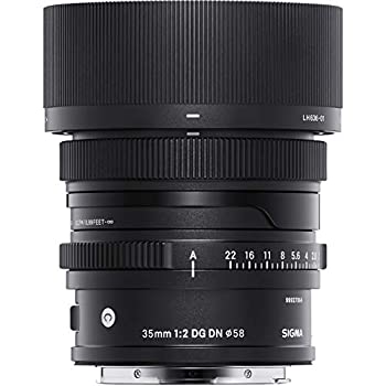 š 35mm F2 DG DN ˡE