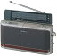 š SONY TV (1ch-12ch) FM AM饸 ICF-A100V-N