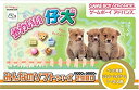 【中古】 みんなのソフトシリーズ2980 かわいい仔犬