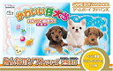 【中古】 みんなのソフトシリーズ2980 かわいい仔犬ミニ わんこと遊ぼう!!
