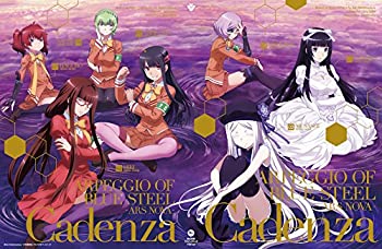 [중고] 극장판 푸른 강철 아르페지오 - 아르스 노바 - Cadenza 첫회 생산 한정 특장판 BD [Blu-ray]
