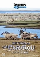 【中古】 ディスカバリーチャンネル トナカイの大移動 [DVD]