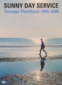 š Teenage Flashback 1995-2000 [DVD]