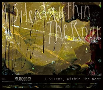 【中古】 A Silent within The Roar (初回限定盤) (DVD付)